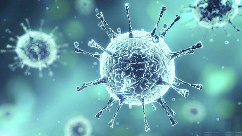 https://www.test2.mikro-makro.net/guneyde-13-kuzeyde-2-yeni-vaka-belirlendi